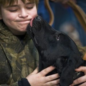boy being kissed by a dog